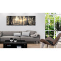 Seinapilt - Forest Sun - 135x45