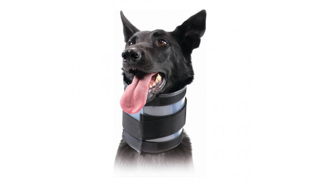 Cervical Collar for Dogs KVP Black (6-28 cm)