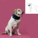 Cervical Collar for Dogs KVP Чёрный (13-48 cm)