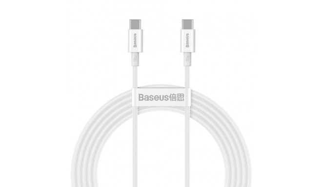 BASEUS cable Type C to Type C PD100W Power Delivery Superior Series Fast Charging CATYS-C02 2 meter 