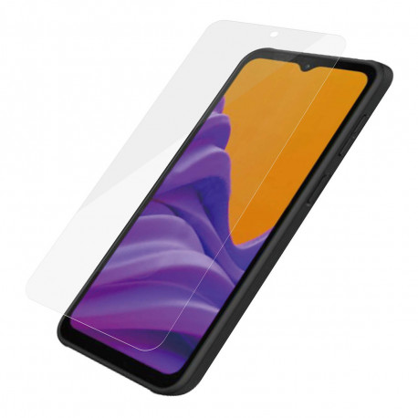 Kaitseklaas Samsung Galaxy Xcover6 Pro, ümbrisesõbralik, PanzerGlass