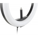 Kensington L1000 Bicolour Ring Light with Webcam Mount