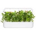 Click & Grow Smart Refill Lemon Basil 3pcs