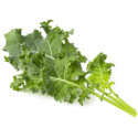 Click & Grow Smart Refill Green Kale 3pcs