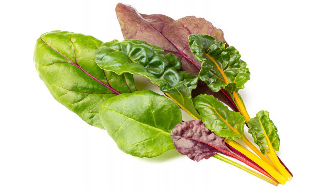 Click & Grow Smart Garden Refill Kirju lehtpeet 3tk