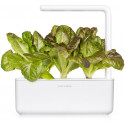 Click & Grow Smart Refill Punane Rooma salat 3tk