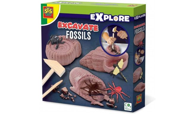 SES Craft set Excavate fossils