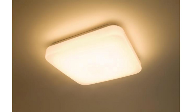 laevalgusti mauve 3111031P0 17W LED