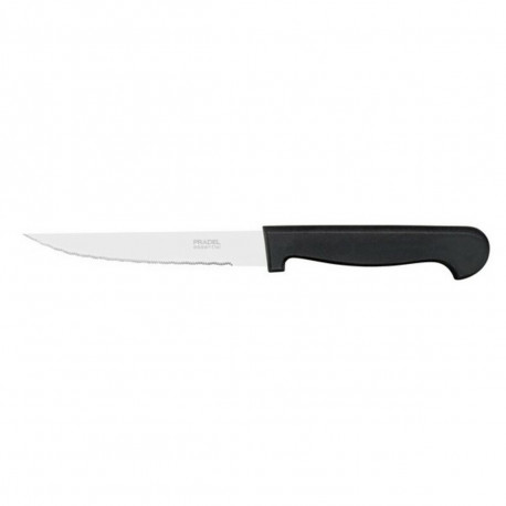 Knife Set Amefa (24 pcs)