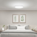 Xiaomi Mi Smart LED Ceiling Light 350mm