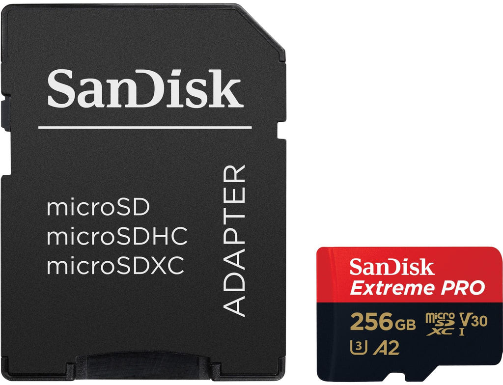 SANDISK SDSQXCD-256G-GN6MA