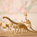 4M KidzLabs craft kit Brachiosaurus skeleton