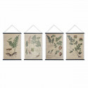 Canvas DKD Home Decor Botanical plants (4 pcs) (60 x 2 x 90 cm)