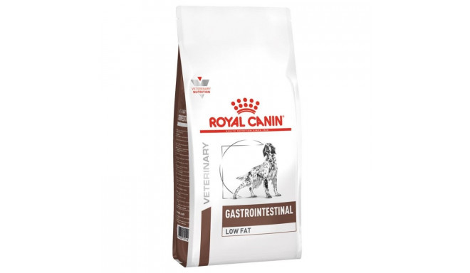 Royal Canin Gastro Intestinal Junior Dry dog food 2.5 kg
