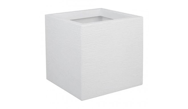 Plant pot EDA White Plastic 5 cm