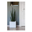 Plant pot EDA White (5 cm)