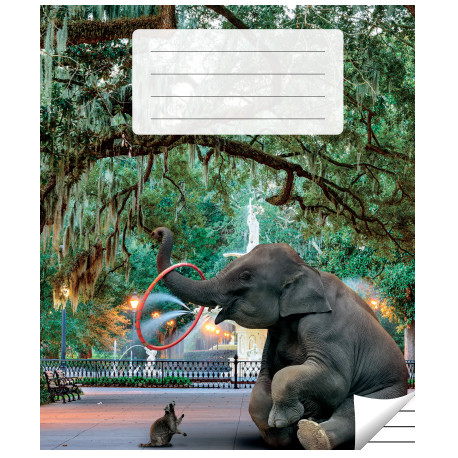 Kaustik, jooneline, 36 lehte