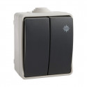 Double Switch EDM 250 V