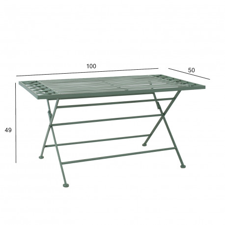 Coffee table MINT 100x50xH49cm, antique green