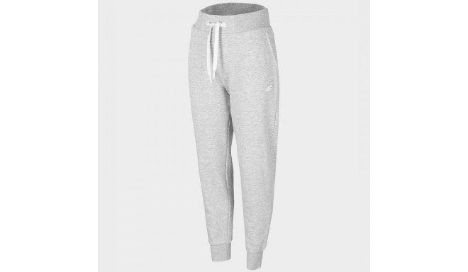 Trousers 4F W H4Z22-SPDD351 27M (XXL)