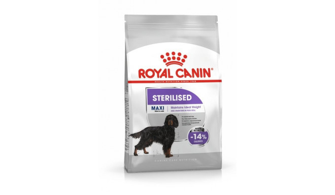 maxi sterilised royal canin