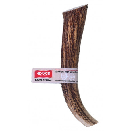4DOGS - Deer antler dog chew (hard) - XXL