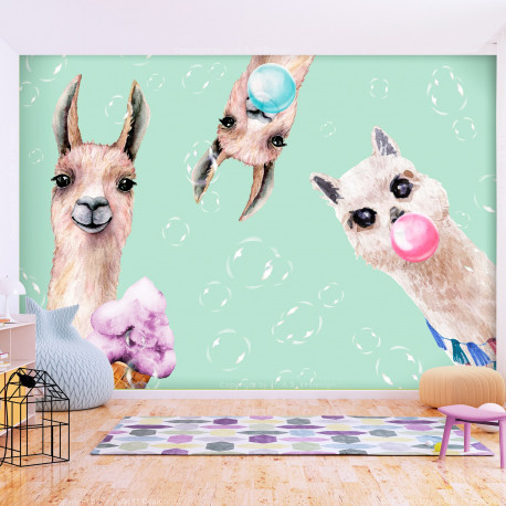 Fototapeet - Crazy Llamas - 400x280