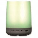 Bluetooth Speakers Denver Electronics BTL-311 Bluetooth 1200 mAh 5W LED RGB
