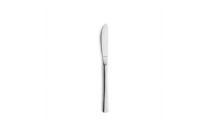 Set of Dessert Knives Amefa Atlantic 12 Units