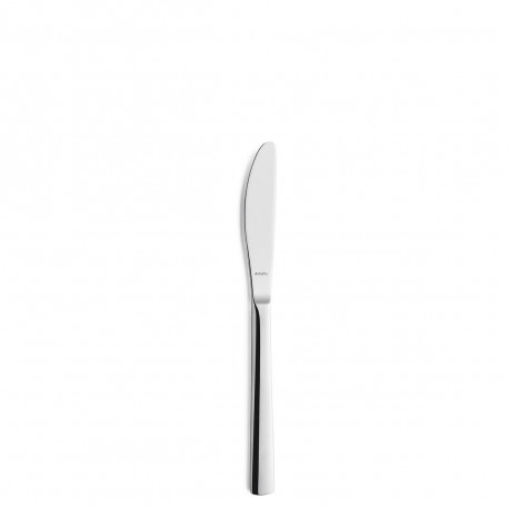 Knife Set Amefa Atlantic Metal Stainless steel 12 Units