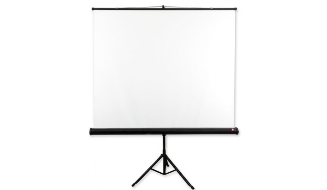 Avtek Tripod Standart 175 projection screen 1:1