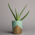 Superior Background Paper 58 Slate Grey 2.72 x 25m