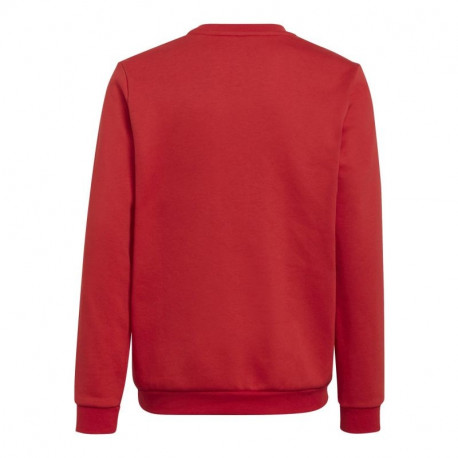Adidas Entrada 22 Sweat Jr sweatshirt H57473 (152)