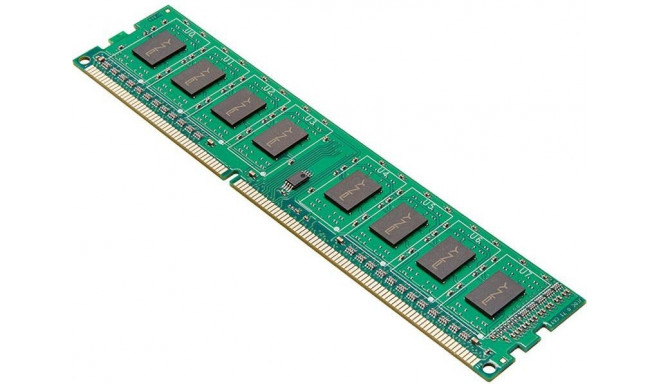 PNY RAM 8GB DDR3 1600MHz DIM8GBN12800/3-SB