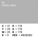 Superior paper background 2.72x11m, 72 fossil gray 