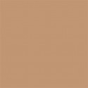 Superior Background Paper 25 Beige 2.72 x 11m