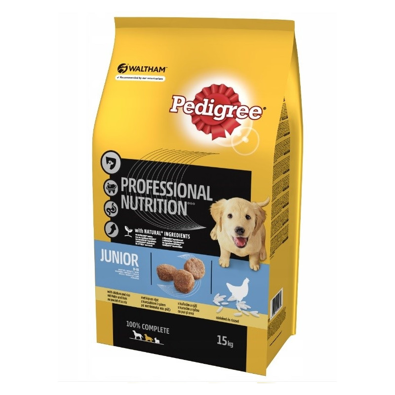 Pedigree junior best sale