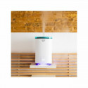 Humidifier Cecotec BreezeCare 3000