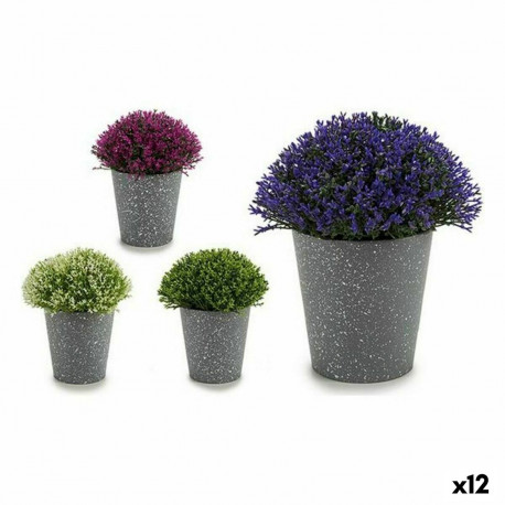 Dekoratiivne Taim Ibergarden A18124-91 A18124-91 Plastmass 14 x 15 x 14 cm 14 x 16 x 14 cm (12 Ühiku