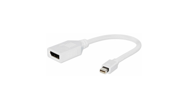 Adapter Gembird Mini DisplayPort - DisplayPort valge