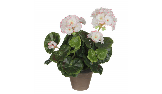 Dekoratiivne Taim Mica Decorations PVC Geraanium (11,5 x 33 cm)