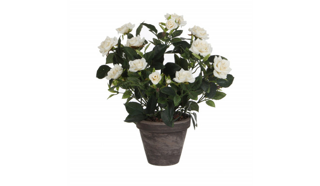 Dekoratiivne Taim Mica Decorations Rosal Keraamiline PVC