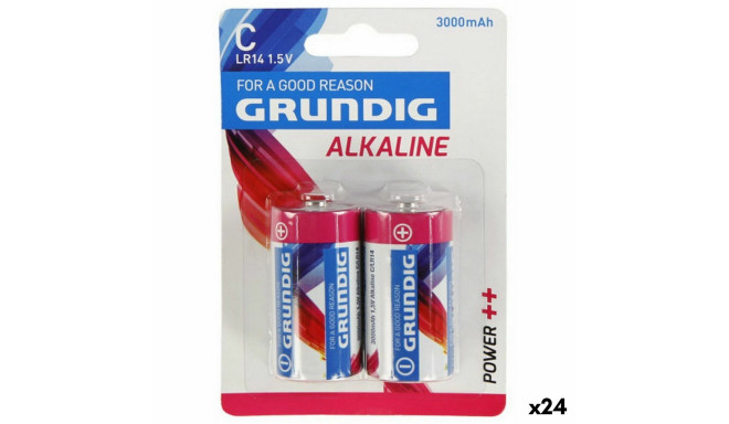 Atkārtoti Uzlādējamas Baterijas Grundig Tips C (24 gb.)