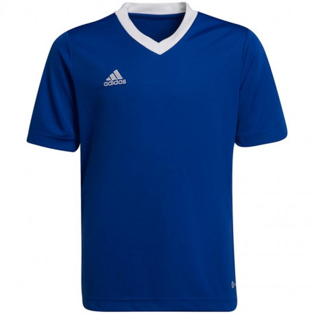 Adidas Entrada 22 Jsy Jr T-shirt HG3948 (176cm)