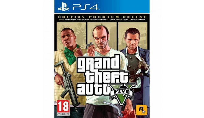 PlayStation 4 Video Game Sony Grand Theft Auto V