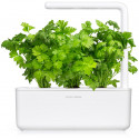 Click & Grow Smart Garden refill Lehtseller 3tk