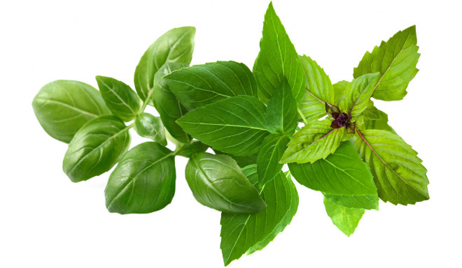 Click & Grow Plant Pod Basil Variety Mix 9pcs