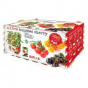 Cultivation Set Batlle Fresh Tomatoes 30 x 19,5 x 16,2 cm 2,85 kg
