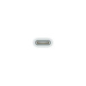 Apple USB-C to Pencil Adapter White 1 pc(s) Apple USB-C to Pencil Adapter White 1 pc(s)