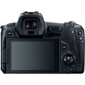 Canon EOS R + RF 24-105mm + RF 50mm